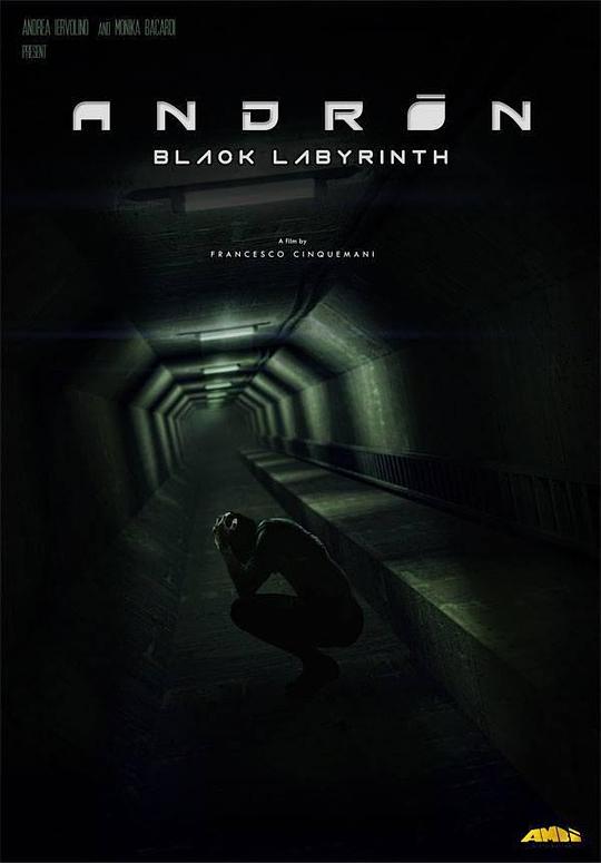 安德烈黑色的迷宫 Andròn: The Black Labyrinth (2015) 1080p 原盘Remux 中文字幕 【22.30GB】已刮削