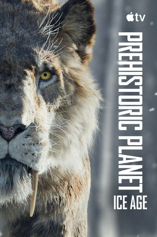 史前星球 第三季冰川时代 Prehistoric Planet: Ice Age (2025) 旁白汤姆·希德勒斯顿  5集全，内嵌中英字幕 【纪录剧集】