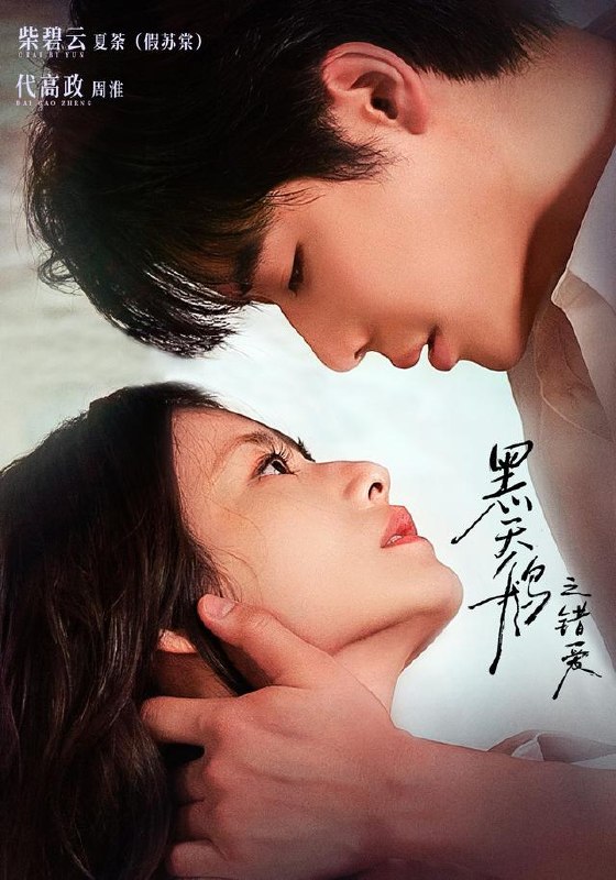 黑天鹅之错爱（68集）代高政＆柴碧云（1080P）|短剧