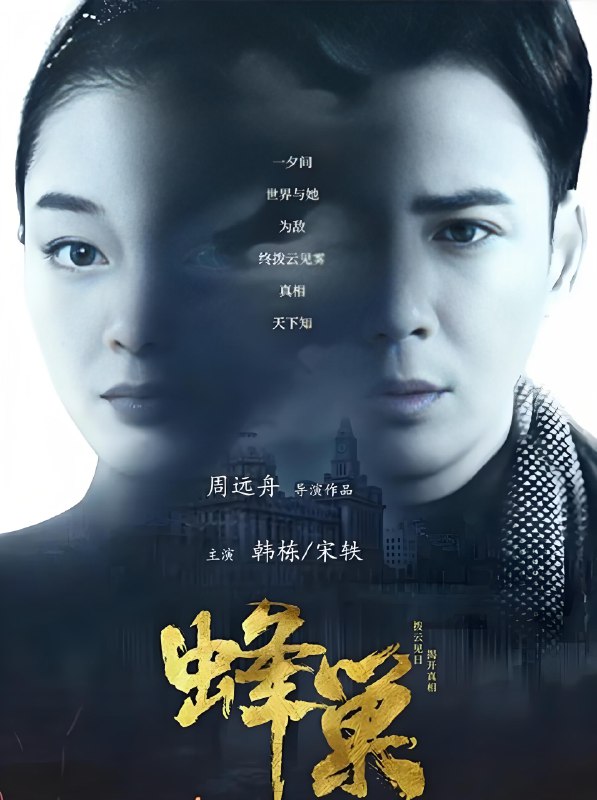 蜂巢 (42集) 韩栋&宋轶 | 国产剧