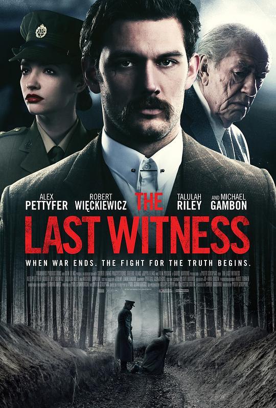 最后证人 The Last Witness (2018) 1080p 原盘Remux 中文字幕 【19.86GB】已刮削