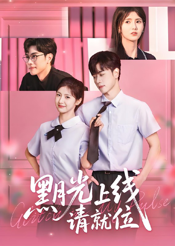 黑月光上线请就位 (60集) 王瑾&闵星翰 | 短剧
