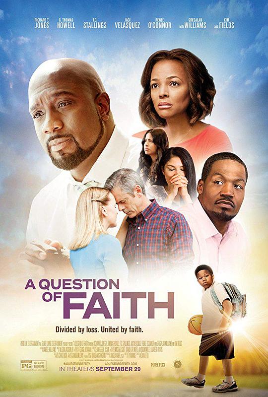 信仰问题 A Question of Faith (2017) 1080p 原盘Remux 【24.71GB】已刮削