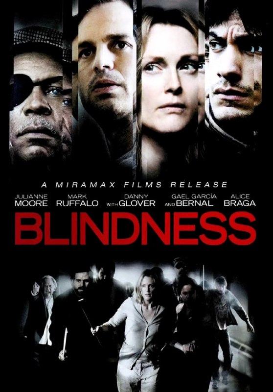 盲流感 Blindness (2008)