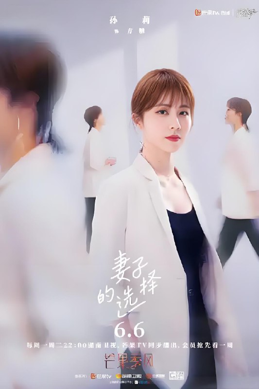 妻子的选择 (12集) 孙莉&袁文康 | 国产剧