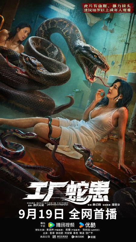 工厂蛇患 (2025) [WEB-4K] [国语中字]