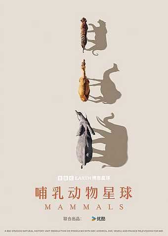 哺乳动物星球 (2024) 4K HLG 全集 中字外挂字幕