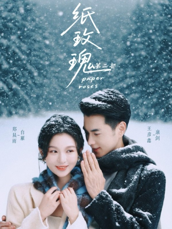 纸玫瑰第二部（80集）王彦鑫＆郑晨雨|短剧