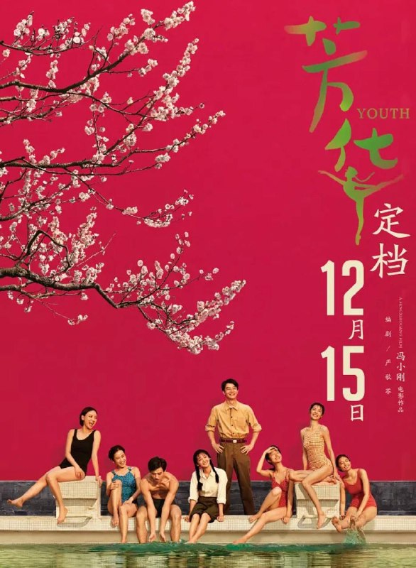 芳华 (2017)