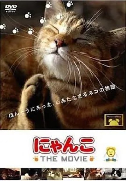 纪录片 猫咪物语 2006-2012 1-5合集 日语中字