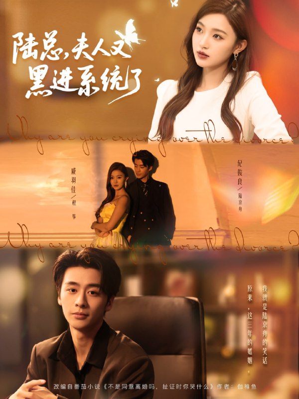 陆总夫人又黑进系统了（81集）纪俊良＆戚羽佳|短剧