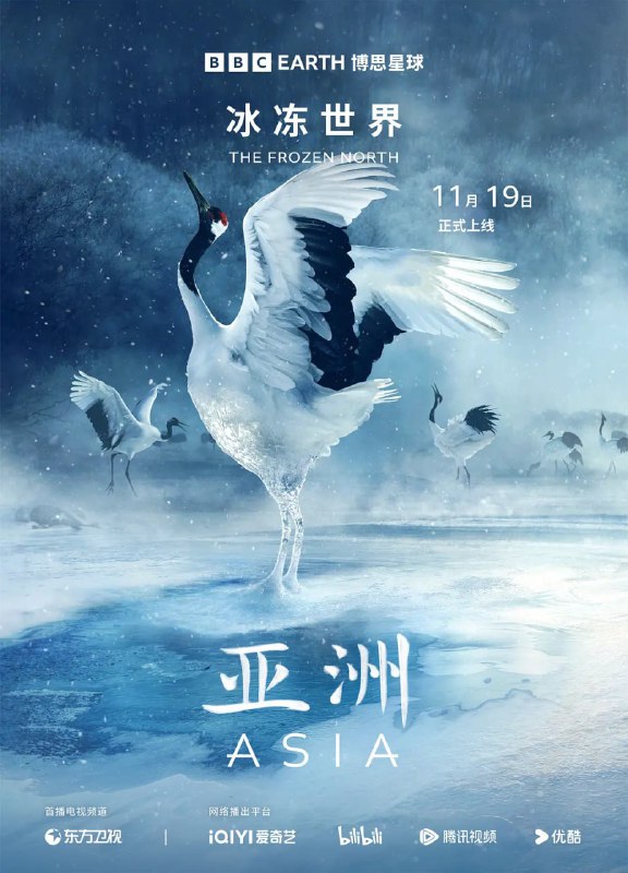 亚洲 Asia (2024)