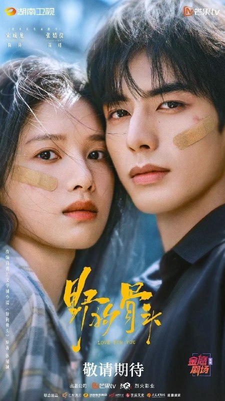 野狗骨头 (2026) [32集全] [4K]  [内嵌简中] [宋威龙/张婧仪]