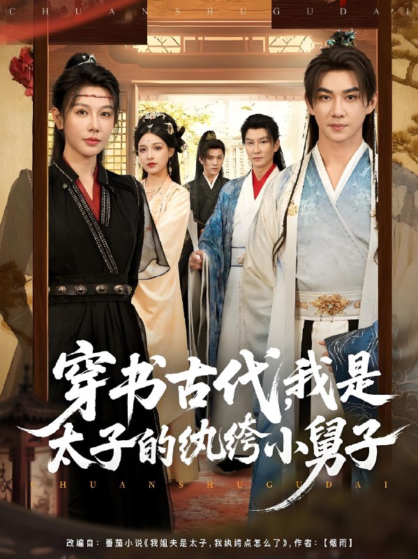 穿书古代我是太子的纨绔小舅子 (80集) 隋安蓉 | 短剧