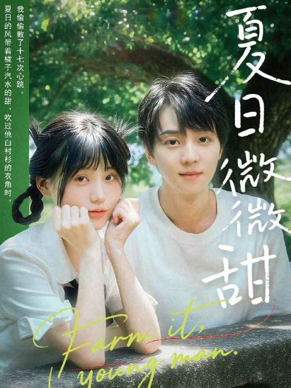 夏日微微甜（79集）苏泽林＆宋澎澎  /最新 短剧