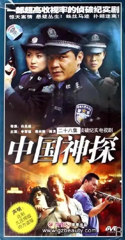 中国神探 (2008)