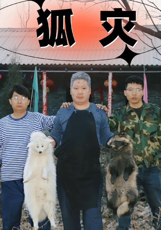狐灾(25集)