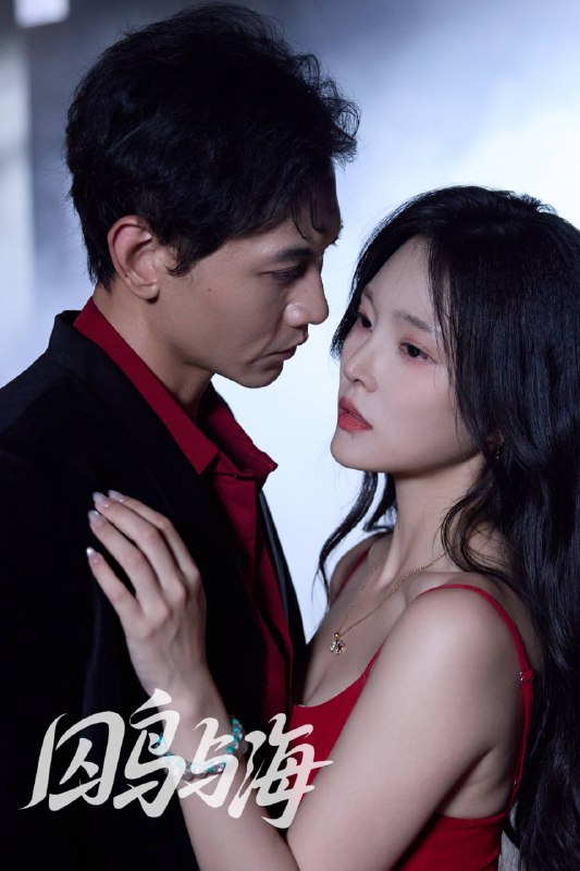 囚鸟与海（51集）苗雨峤＆徐菡琳|短剧