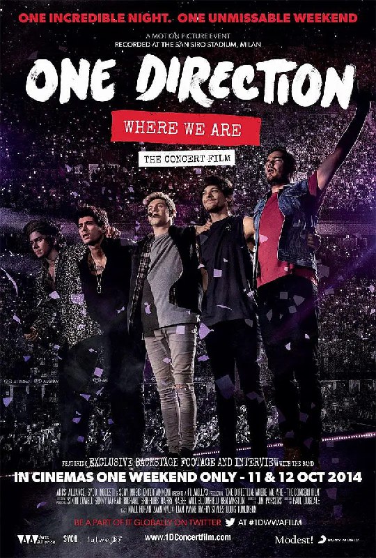 单向乐队：我们所到之处 One Direction Where We Are - The Concert Film (2014)