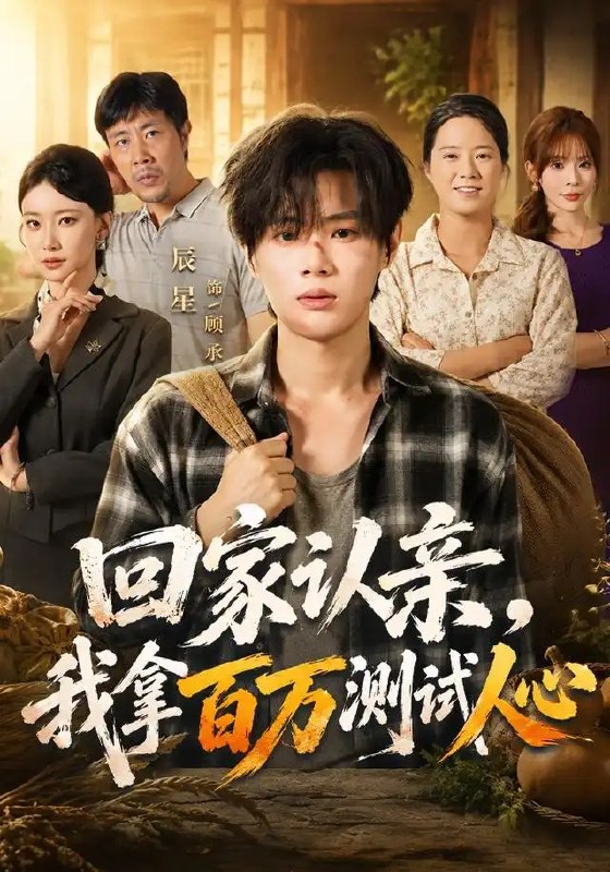回家认亲，我拿百万测试人心&回家认亲我拿百万测试人心（81集）辰星＆尹晨攒