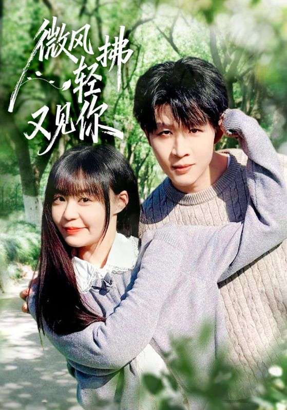 微风轻拂又见你 (66集) 王雨博&孙蔚琳 | 短剧