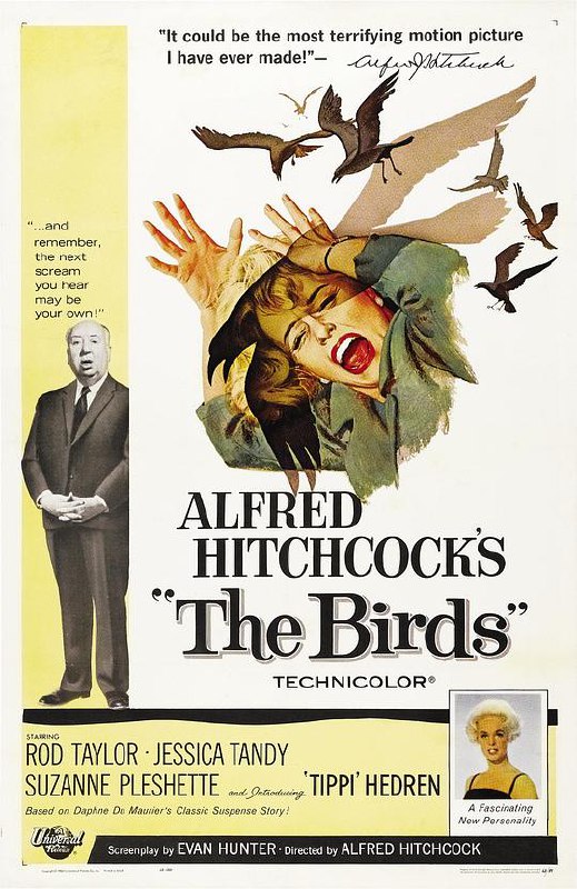 群鸟 The Birds (1963) 4K/2160p 原盘Remux 中文字幕 【54.80GB】已刮削