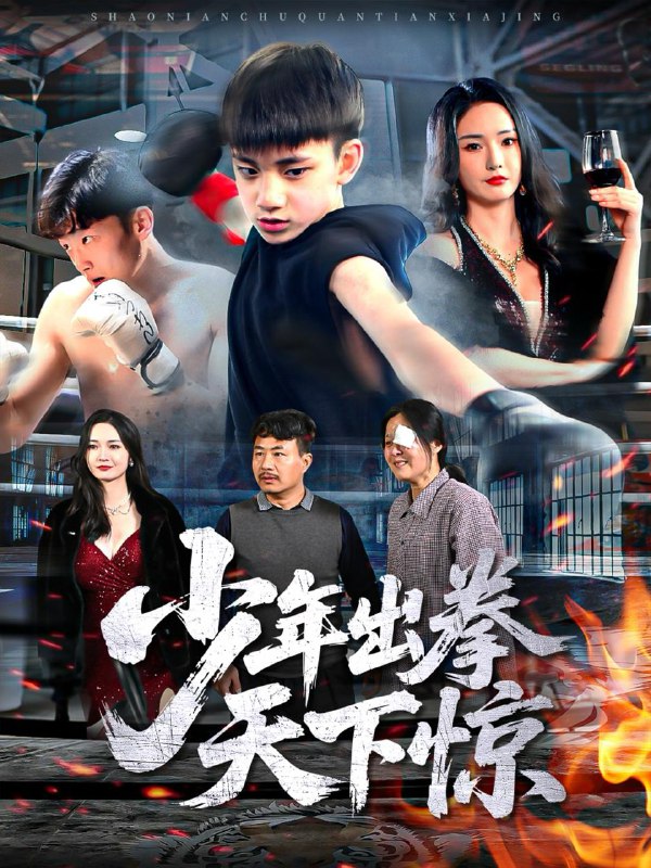 少年出拳天下惊（60集）胡冬晴 /最新 短剧