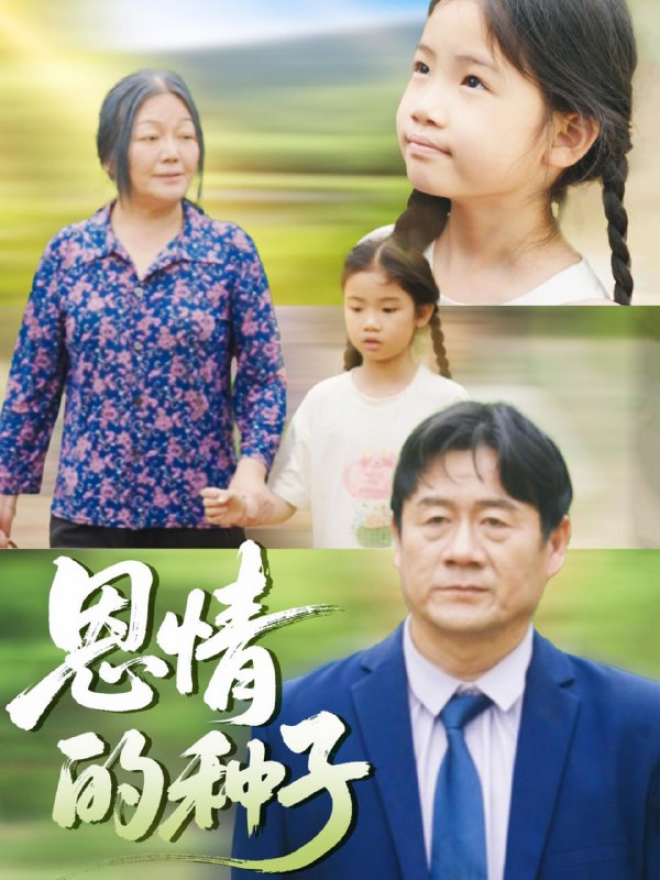 恩情的种子（29集）