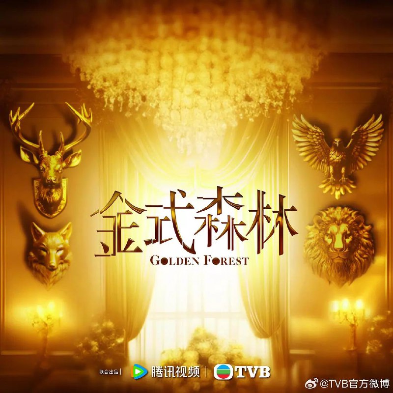 金试森林（2025）更新25集 4K