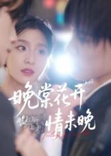 2025年9月24日 短剧合集目录8