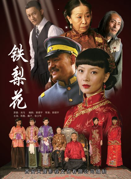 铁梨花 全43集 国语中字 2010 1080P【国剧】