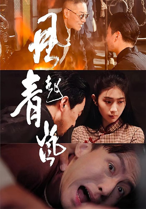 风起青岚(96集)