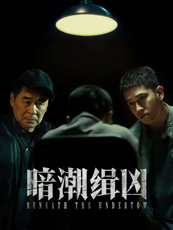 暗潮缉凶 (2025) 4K.更新至14集