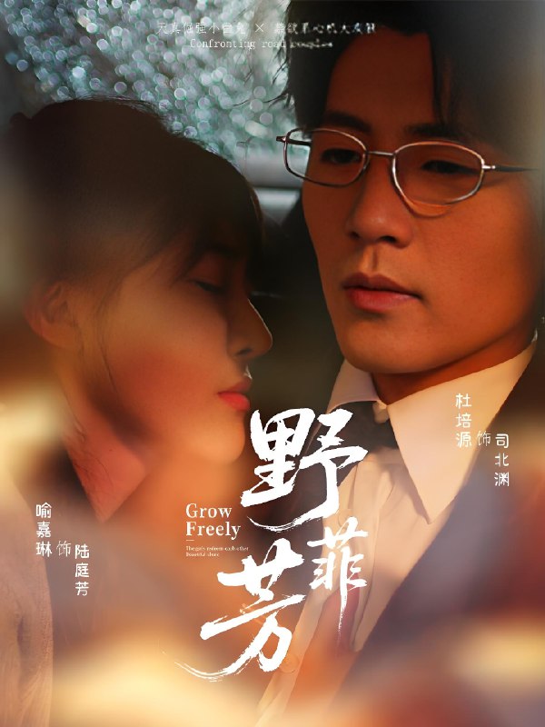 野芳菲 (60集) 喻嘉琳&杜培源 | 短剧