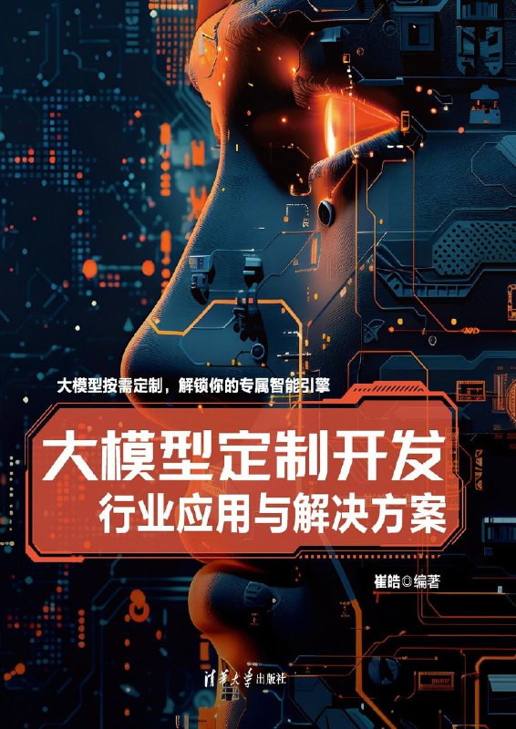 《大模型定制开发行业应用与解决方案》（epub）