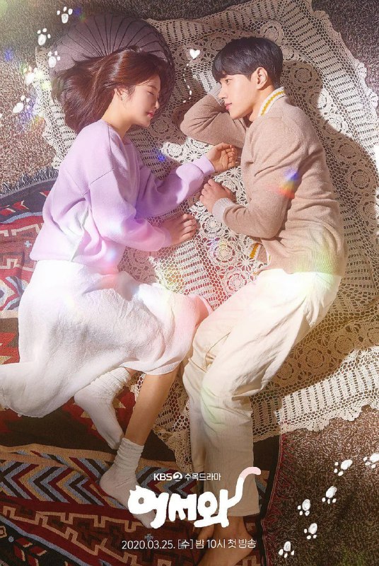 你回来了 어서와 (2020)