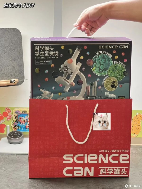 最强大脑100天记忆特训-右脑绘图记忆系统【学习资料】