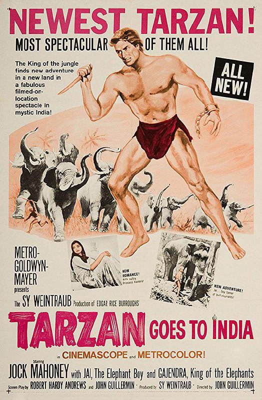 泰山去印度 Tarzan Goes to India (1962) 1080p 原盘Remux 【21.50GB】已刮削