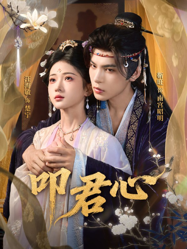 叩君心（64集）靳旺＆汪海敏|短剧