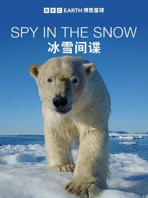 冰雪间谍 Spy in the Snow (2018)