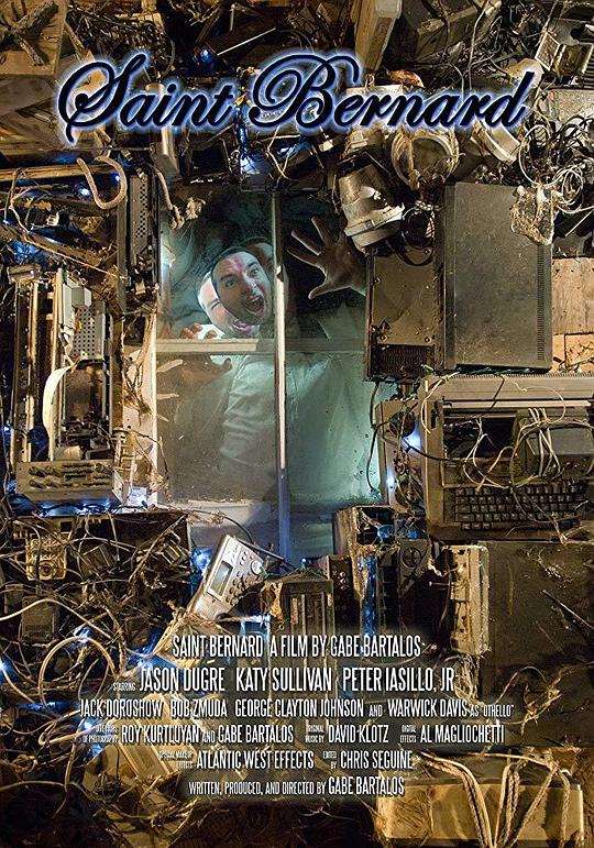 圣伯纳 Saint Bernard (2013) 1080p 原盘Remux 【24.67GB】已刮削