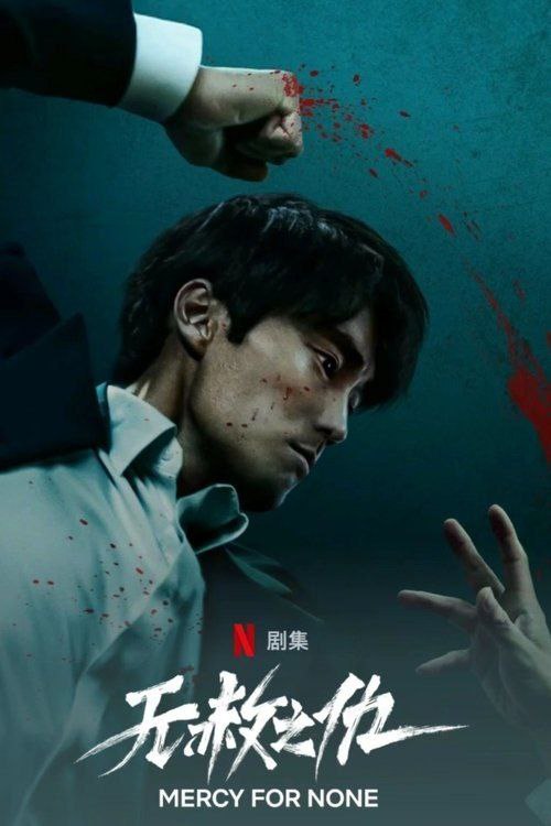无赦之仇 (2025) 4K 全集 内嵌简繁字幕