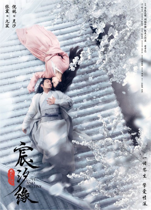 宸汐缘 (2019) 4K 全集