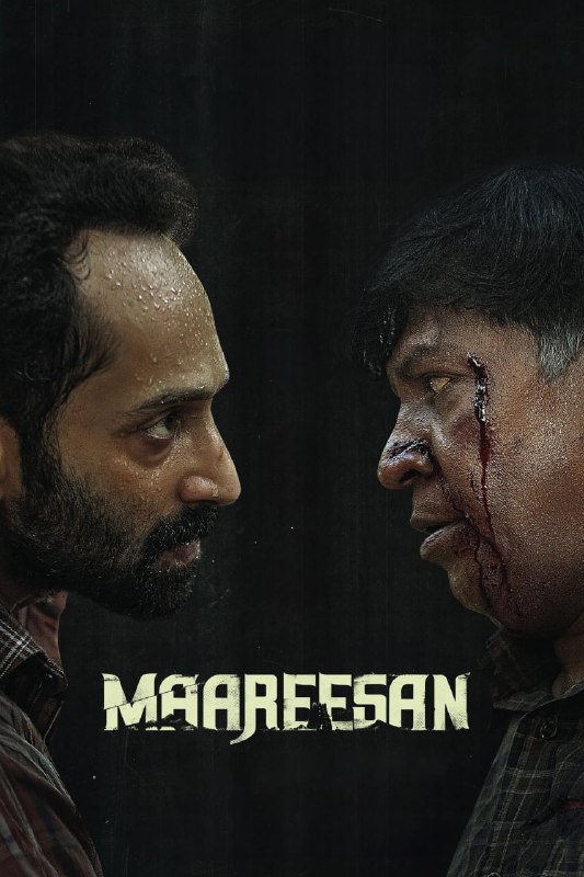 妄人妄途/失忆之劫 Maareesan (2025) [1080P] [内封简繁]