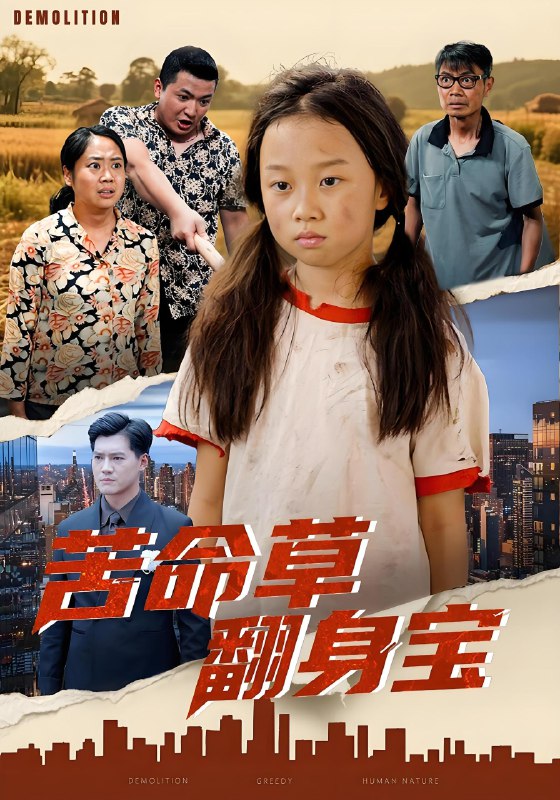 苦命草翻身宝 (62集) 朱钰琪&何强 | 短剧