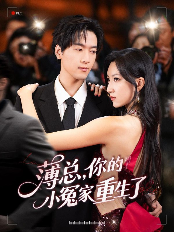 薄总,你的小冤家重生了(67集)陆路&韩非儿 /最新 短剧