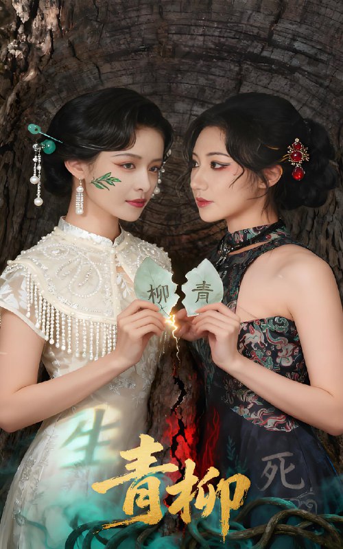 青柳 (79集) 沈国洋&王思瑾 | 短剧