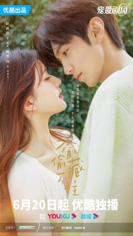 【国剧】偷偷藏不住 全25集 国语中字 2023 4K