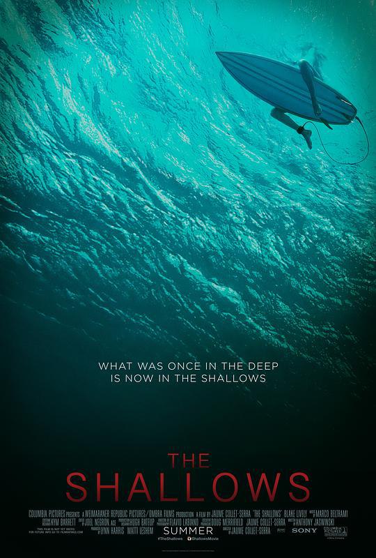 鲨滩 The Shallows (2016) 4K/2160p 原盘Remux 中文字幕 【48.14GB】已刮削