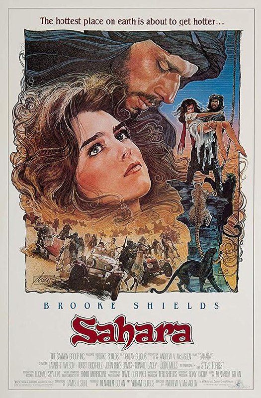 撒哈拉 Sahara (1983) 1080p 原盘Remux 中文字幕 【20.42GB】已刮削